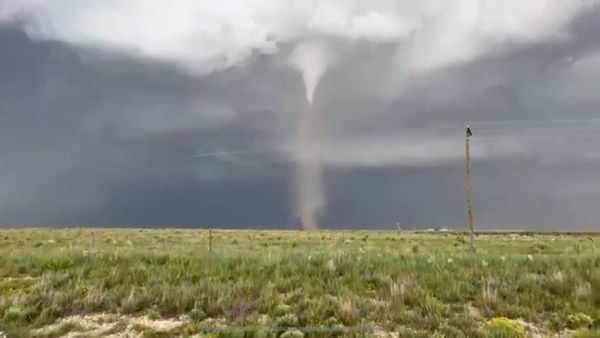 Texas Tornado : ટેક્સાસમાં ભયાનક ચક્રવાત, ત્રણ લોકોના મોત, 100 થી વધુ લોકો ઘાયલ