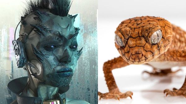 Aliens News : અમેરિકા પાસે છે એલિયનનું વિમાન, પૂર્વ ગુપ્તચર અધિકારીએ કર્યો દાવો