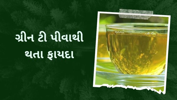 બીમારી નાશક ગુણોનો ભંડાર છે ગ્રીન ટી! ફાયદાઓ જાણી તમે પણ પીવી ચાલુ કરી દેશો