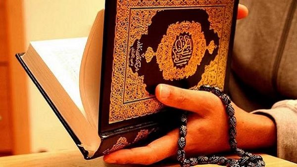 Denmark quran Burnning: કુરાન સળગાવાને રોકવા માટે ડેનમાર્કનું કડક વલણ, વિરોધને રોકવા માટે કાયદો બનાવશે