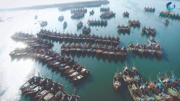 રાષ્ટ્રીય મત્સ્ય ખેડૂત દિવસ: દરિયાઈ માછલીના ઉત્પાદનમાં ગુજરાત દેશમાં પ્રથમ સ્થાને