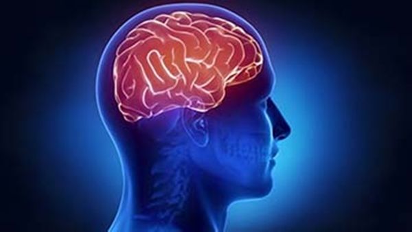 Brain Hemorrhage Causes : આ કારણે ફાટી જાય છે મગજની નસ, આ રીતે બ્રેઇન હેમરેજથી બચો