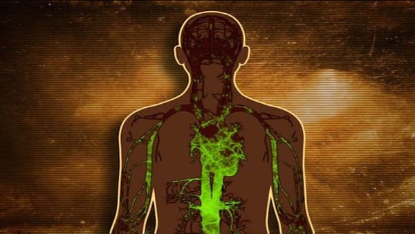 Monsoon Health News : ચોમાસામાં આ રીતે કરો ડિટોક્સિફિકેશન, પેટનું ઝેર થશે ખતમ