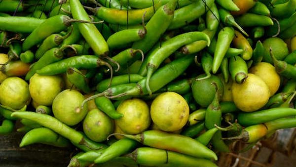 ઘર બહાર લીંબુ-મરચા કેમ લટકાવાય છે? આ કોઈ અંધશ્રદ્ધા નહિં પરંતુ વિજ્ઞાન છે