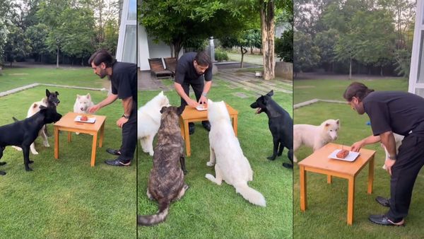 ધોનીએ અલગ અંદાજમાં મનાવ્યો પોતાનો જન્મદિવસ, ફાર્મહાઉસ પર ડોગ સાથે કેક કટ કરી, Video