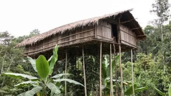 આ ગામના લોકો વર્ષોથી ઝાડ પર રહેવા મજબુર છે, જાણો શું છે કારણ?