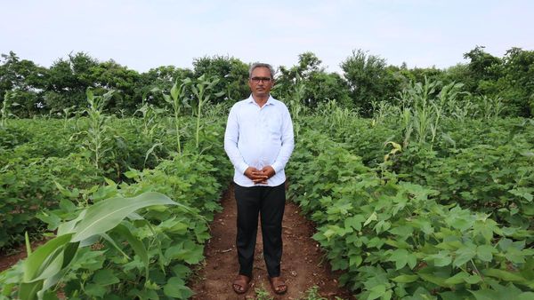 ખર્ચાળ ગણાતી કપાસની ખેતીને ઝીરો ખર્ચમાં કરી દેખાડી, મળો ઓર્ગેનિક ખેતી કરીને વિદેશો સુધી છવાયેલા ખેડૂતને