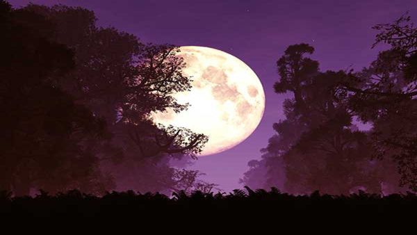 Chandra Dev Ki Arti: રોજ કરો ચંદ્ર દેવની આરતી, થશે યશ બળની પ્રાપ્તી