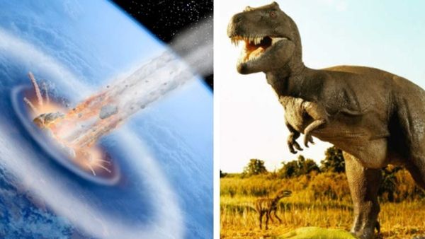 ભારતમાં પહેલી વખત ડેક્રીઓસૌરિડ સોરોપોડ ડાયનાસોરના અવશેષ મળ્યા, જાણો કેમ ખાસ મનાય છે?