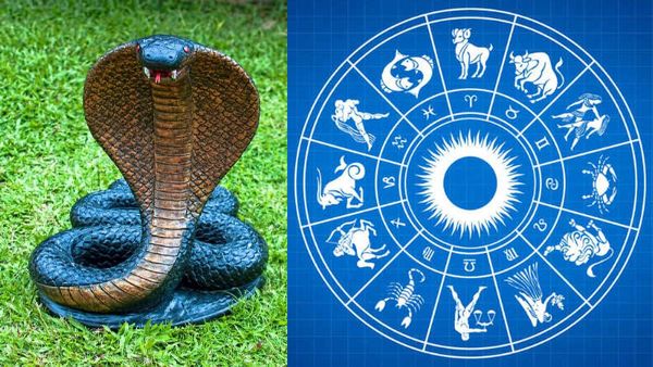 Nag Panchami Upay: કાલસર્પ દોષમાંથી મુક્તિ મેળવવા નાગપંચમીના દિવસે કરો આ સચોટ ઉપાય