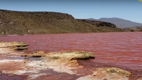 આ તળાવમાં ઉતરતા જ જીવતા પ્રાણીઓ બની જાય છે પથ્થર, જાણો ક્યાં આવેલુ છે આ રહસ્યમય તળાવ?