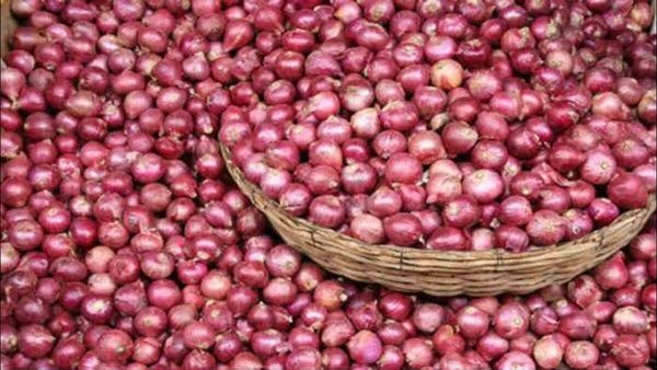 આજથી 25 રુપિયે કિલોગ્રામના ભાવે ડુંગળી વેચશે સરકાર