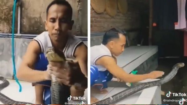 snake bath video : લો બોલો આ ભાઇએ સાપને શેમ્પૂથી નવડાવ્યો, જુઓ સાપ સ્નાનનો વીડિયો