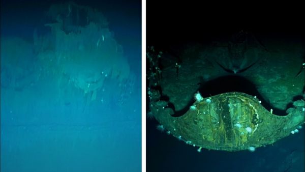 સમુદ્રની નીચેથી મળ્યો સૈન્ય ખજાનો, વીડિયો આવ્યો સામે, ખોલ્યા વર્ષો જુના રાઝ