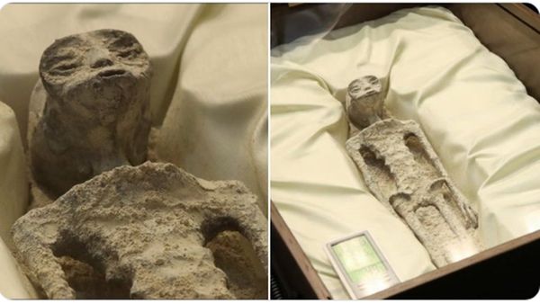 Alien Dead Body: મેક્સિકોની સંસદમાં લવાયો એલિયનનો મૃતદેહ, જુઓ વીડિયો