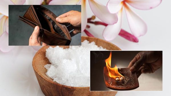 Vastu Tips : ધનની કમી દુર કરશે આ વાસ્તુના ઉપાય, થશે મનોકામના પૂર્ણ