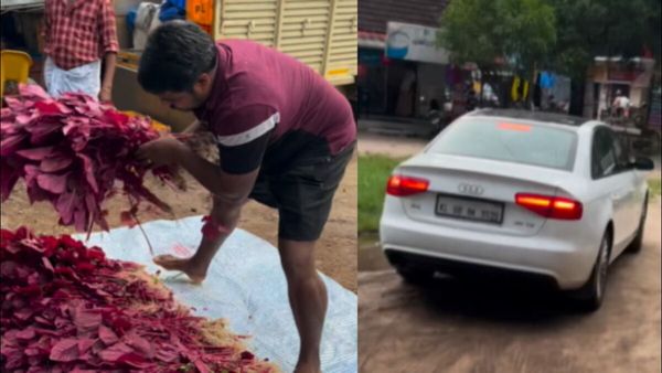 44 લાખની ઑડીમાં આવ્યો ખેડૂત અને પછી વેચવા લાગ્યો પાલક, લાખો લોકોએ જોયો Video