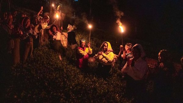 ભારતમાં અહીં તૈયાર થાય છે દુનિયાની સૌથી મોંઘી ચા, કિંમત જાણીને તમારા હોશ ઉડી જશે