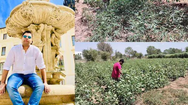 પોણા કરોડના પેકેજની નોકરી છોડી યુવકે પ્રાકૃતિક ખેતી શરૂ કરી, હવે કરી રહ્યા છે લાખોની કમાણી