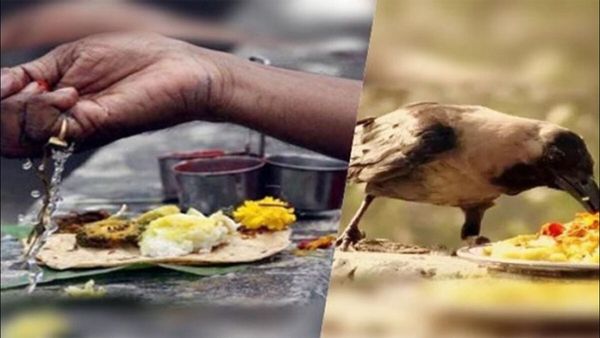 Pitru Paksha 2023 Rules: શ્રાદ્ધમાં આ ભૂલો કરી તો પિતૃઓ થઈ જશે નારાજ, તમારુ થઈ શકે છે સર્વનાશ