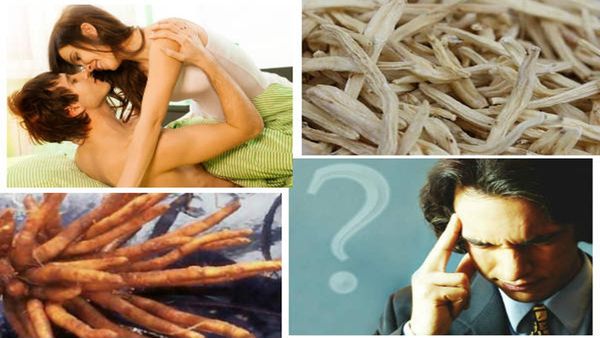 Mens Health: પુરુષોની દરેક સમસ્યા માટે રામબાણ ઉપાય, આ એક વસ્તુનું કરો સેવન