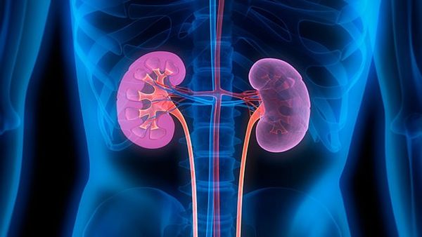 Kidney Care Tips: કિડની થઇ જશે સાફ, 3 નેચરલ ડ્રિંક્સથી થશે ડિટોક્સ
