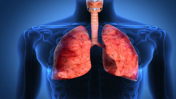 Healthy Lungs Tips: ફેફસાના આરોગ્ય માટે રાખો આ વાતોનું ખાસ ધ્યાન, મળશે સ્વસ્થ જીવન