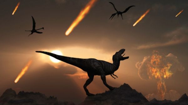 જ્વાળામુખી કે લઘુ ગ્રહને કારણે નહીં, પણ આ રીતે થયો હતો ડાયનાસોરનો અંત