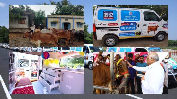 પશુ પાલકો માટે ખુશ ખબર, PM મોદીએ શરૂ કરેલી પશુ આરોગ્ય સેવાનો વ્યાપ વધારવા ગુજરાત સરકારે લીધો આ નિર્ણય