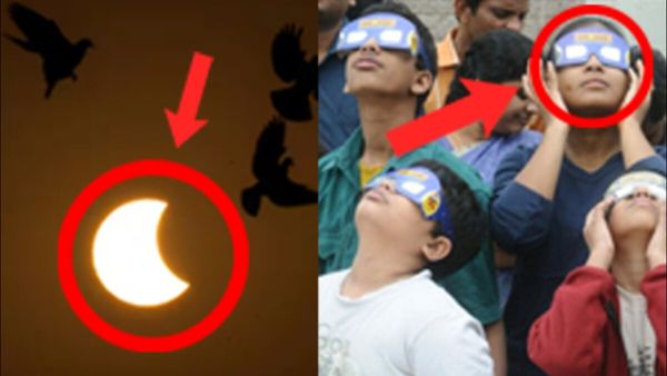 Surya Grahan 2023 Timing: ક્યાં અને કેવી રીતે જોઈ શકશો 'Ring Of Fire', અહીં જાણો ગ્રહણની તમામ વિગતો