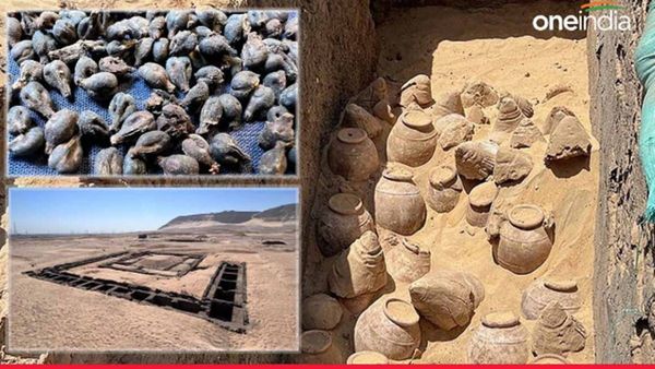 5000 years old Wine: રાણીની કબરમાંથી મળી 5000 વર્ષ જૂનો દારૂ, જાણો ખાસિયત