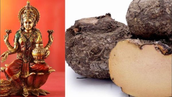 Diwali Ritual: દિવાળીની રાતે કેમ બનાવાય છે સૂરણનુ શાક? જાણો કારણ