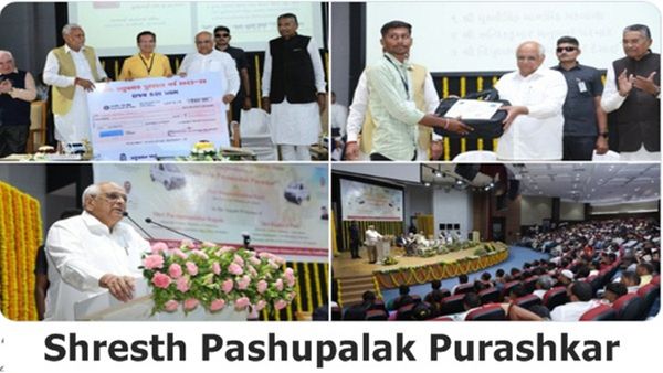 Vadodara: ડૉક્ટર દંપતીને મળ્યો શ્રેષ્ઠ પશુપાલકનો એવોર્ડ, આ રીતે બન્યા સફળ પશુપાલક