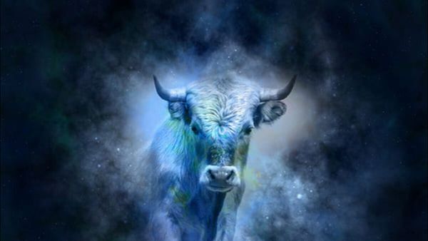 Vrishabha Varshik Rashifal 2024: પ્રગતિકારક રહેશે વૃષભ રાશિવાળા માટે નવુ વર્ષ, શનિ દેવની પણ વરસશે કૃપા