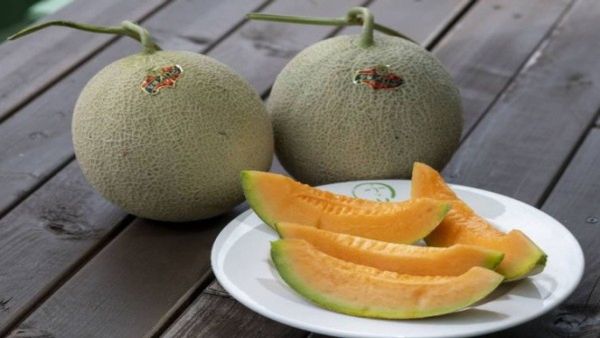 જાણો ક્યાં પાકે છે દુનિયાનું સૌથી મોંઘુ ફળ, 1 કિલોની કિલોની કિંમતમાં 300 ગ્રામ સોનું આવી જાય