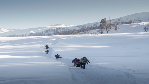 Kashmir Travel: શિયાળામાં કાશ્મીર ફરવાની એક અલગ જ મજા છે, નવા વર્ષની રજાઓમાં આ સુંદર સ્થળોની મુલાકાત લો