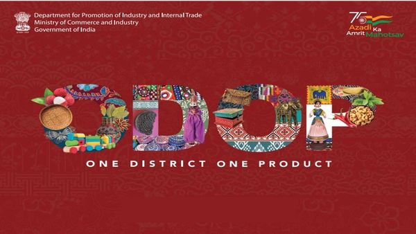 વન ડિસ્ટ્રિક્ટ વન પ્રોડક્ટ શું છે? જાણો તમારા જિલ્લાની પ્રોડક્ટ