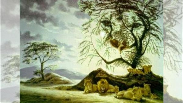 Personality Test: આ ફોટામાં તમને સૌથી પહેલા શું દેખાયુ? જવાબ ખોલશે તમારી પર્સનાલિટીના રાઝ