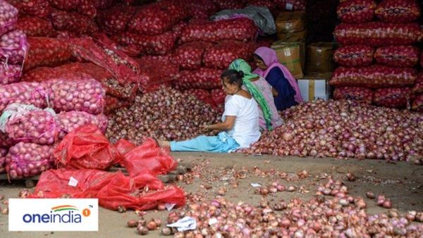 Rajkot: ડુંગળીના ભાવમાં ઘટાડો, રાજકોટ માર્કેટિંગ યાર્ડમાં હરાજી શરૂ