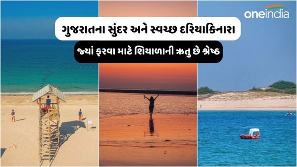 ગુજરાતના સુંદર અને સ્વચ્છ દરિયાકિનારા, જ્યાં ફરવા માટે શિયાળાની ઋતુ છે શ્રેષ્ઠ