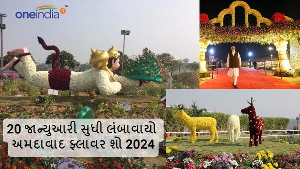 20 જાન્યુઆરી સુધી લંબાવાયો અમદાવાદ ફ્લાવર શો 2024