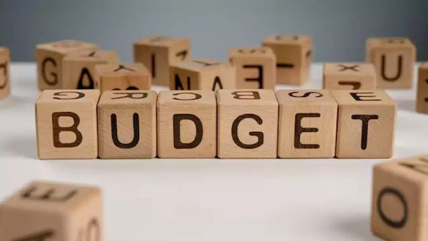 Budget 2024 : બજેટ પહેલા બદલાઈ જશે આ વસ્તુઓ, આજે જ જાણી લો