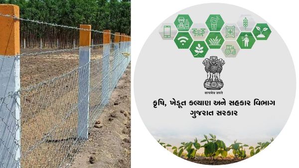 ખેતી સમાચાર : જંગલી ભુંડથી પરેશાન છો તો તમારા માટે છે આ સરકારી યોજના, આવી રીતે ઉઠાવો લાભ