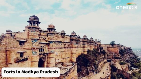 Forts in Madhya Pradesh: મધ્યપ્રદેશમાં આવેલા છે આ 5 સુંદર કિલ્લાઓ, એકવાર ચોક્કસ મુલાકાત લો