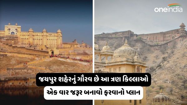 Jaipur Forts: જયપુર શહેરનું ગૌરવ છે આ ત્રણ કિલ્લાઓ, એક વાર જરૂર બનાવો ફરવાનો પ્લાન