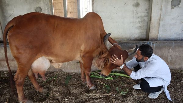 મળો ઈન્ડસ્ટ્રીના મોટા રૂપિયા અને ઘોંઘાડ છોડીને પ્રાકૃતિક ખેતીની ધુણી ધખાવનારા તરવરિયા યુવાનને