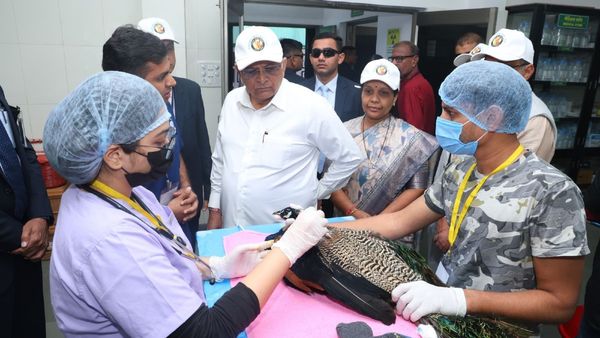 ઉત્તરાયણ દરમિયાન પક્ષીઓ બચાવવા કરુણા અભિયાન, 900 નિદાન કેન્દ્રો અને 750 પશુચિકિત્સકો ખડે પગે રહેશે