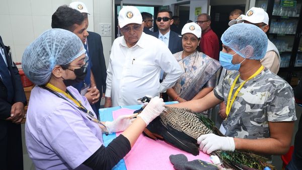 કરૂણા અભિયાન: 900 પક્ષી નિદાન કેન્દ્રો અને 750 પશુ ચિકિત્સકો કાર્યરત