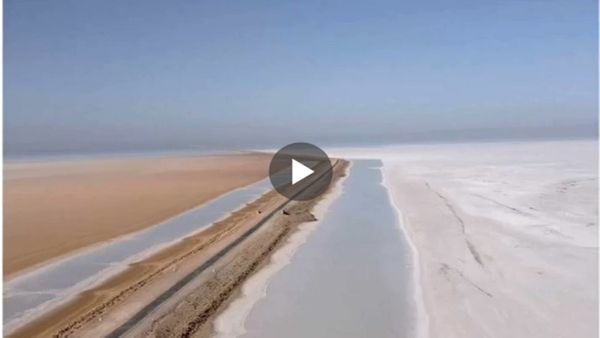 Kutch Rann Utsav: કચ્છના રણમાં આવેલું છે સ્વર્ગ, જાણો રોડ ટુ હેવન વિશે