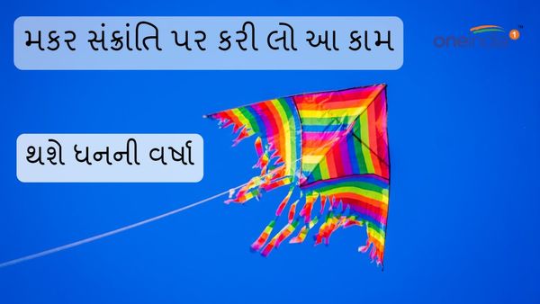 Makar Sankranti 2024: મકર સંક્રાંતિ પર કરી લો આ કામ, થશે ધનની વર્ષા